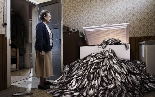 Grandmother-Situation-Fish-Many-Funny-Supplies-Room-Design-.jpg